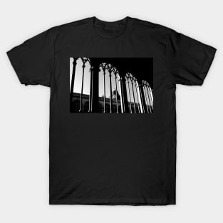 The interior of the Monumental Cemetery at the Square of Miracles (Pisa, Italy) T-Shirt